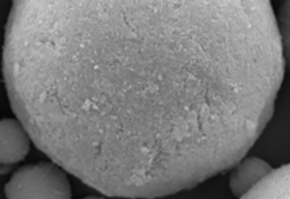 羥基磷灰石3_ChromaX&trade; 羥基磷灰石層析介質(zhì)