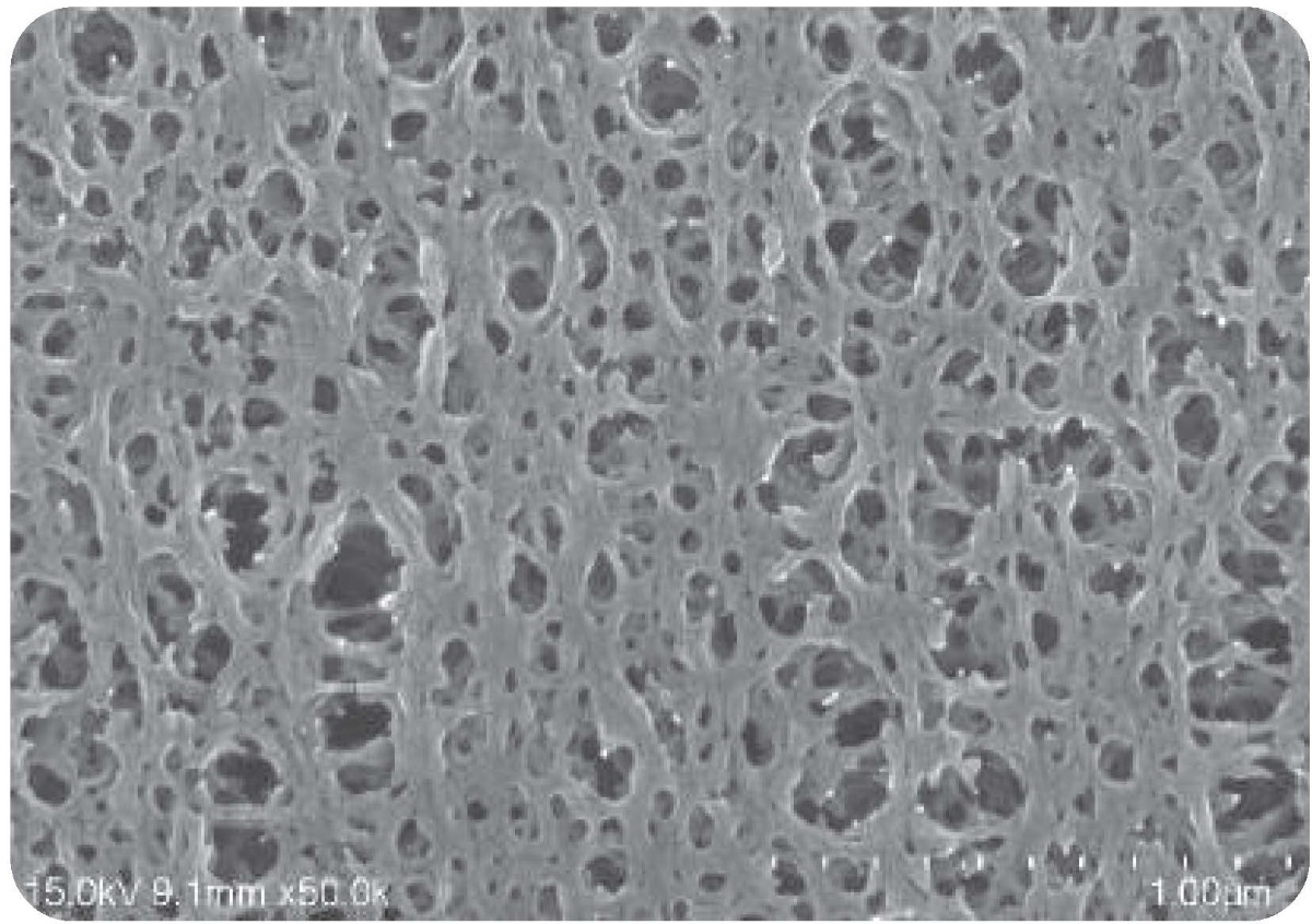 膜材 3_TFFNOVA&reg;中空纖維柱