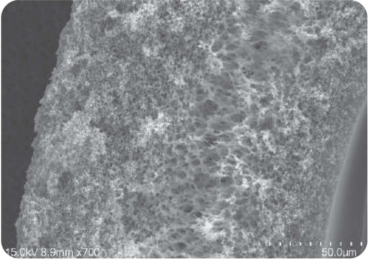 膜材 2_TFFNOVA&reg;中空纖維柱