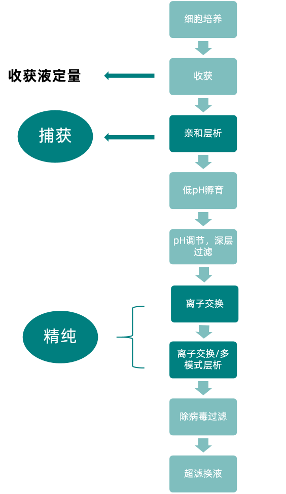 ppt改圖流程1.png