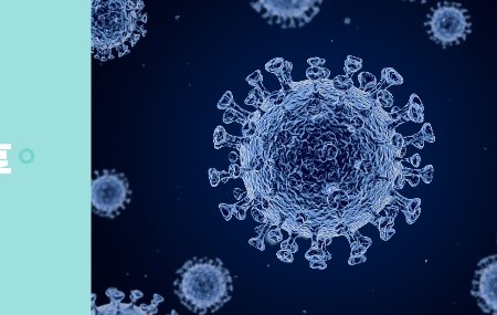 常見VLPs疫苗的工藝路線介紹