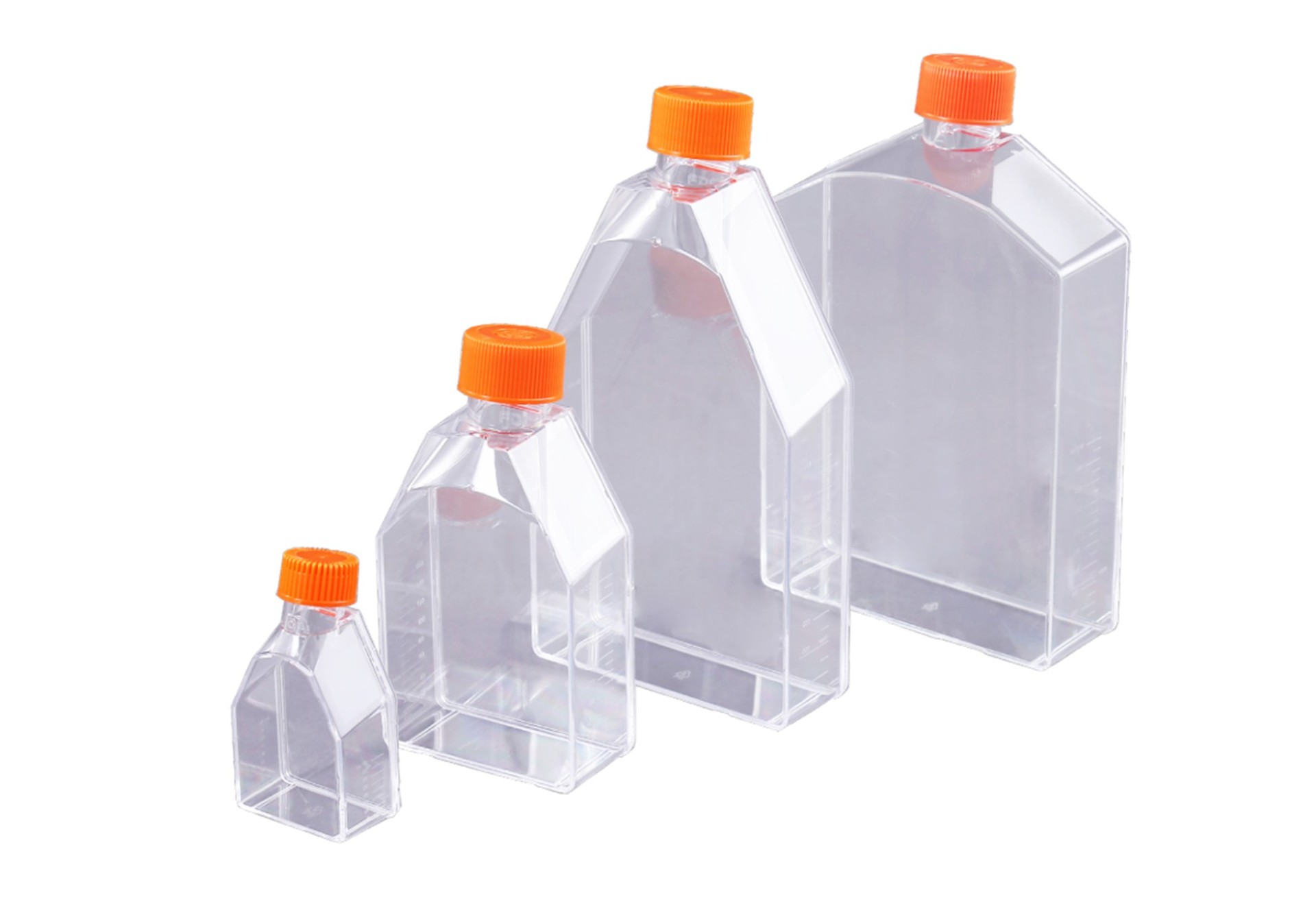 BioHub&reg; 系列細(xì)胞培養(yǎng)方瓶