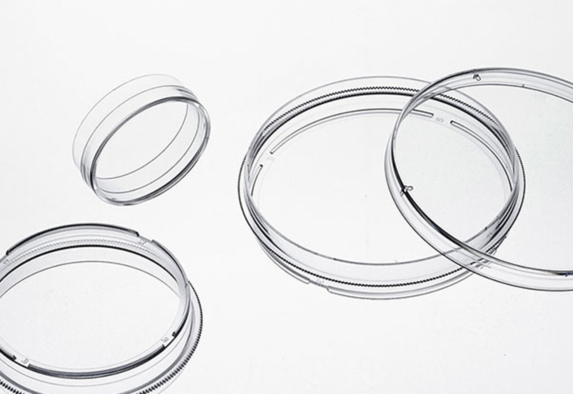 BioHub&reg; 系列一次性細(xì)胞培養(yǎng)皿