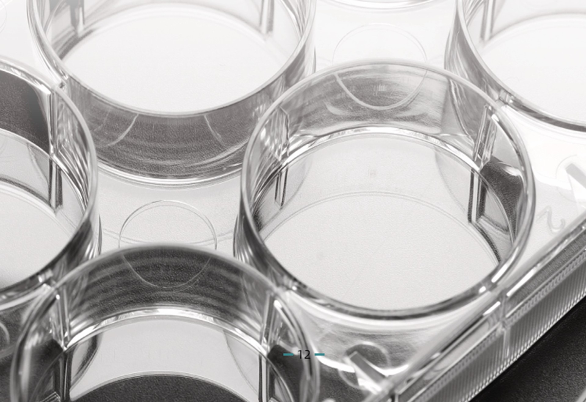 BioHub&reg; 系列超低吸附培養(yǎng)板