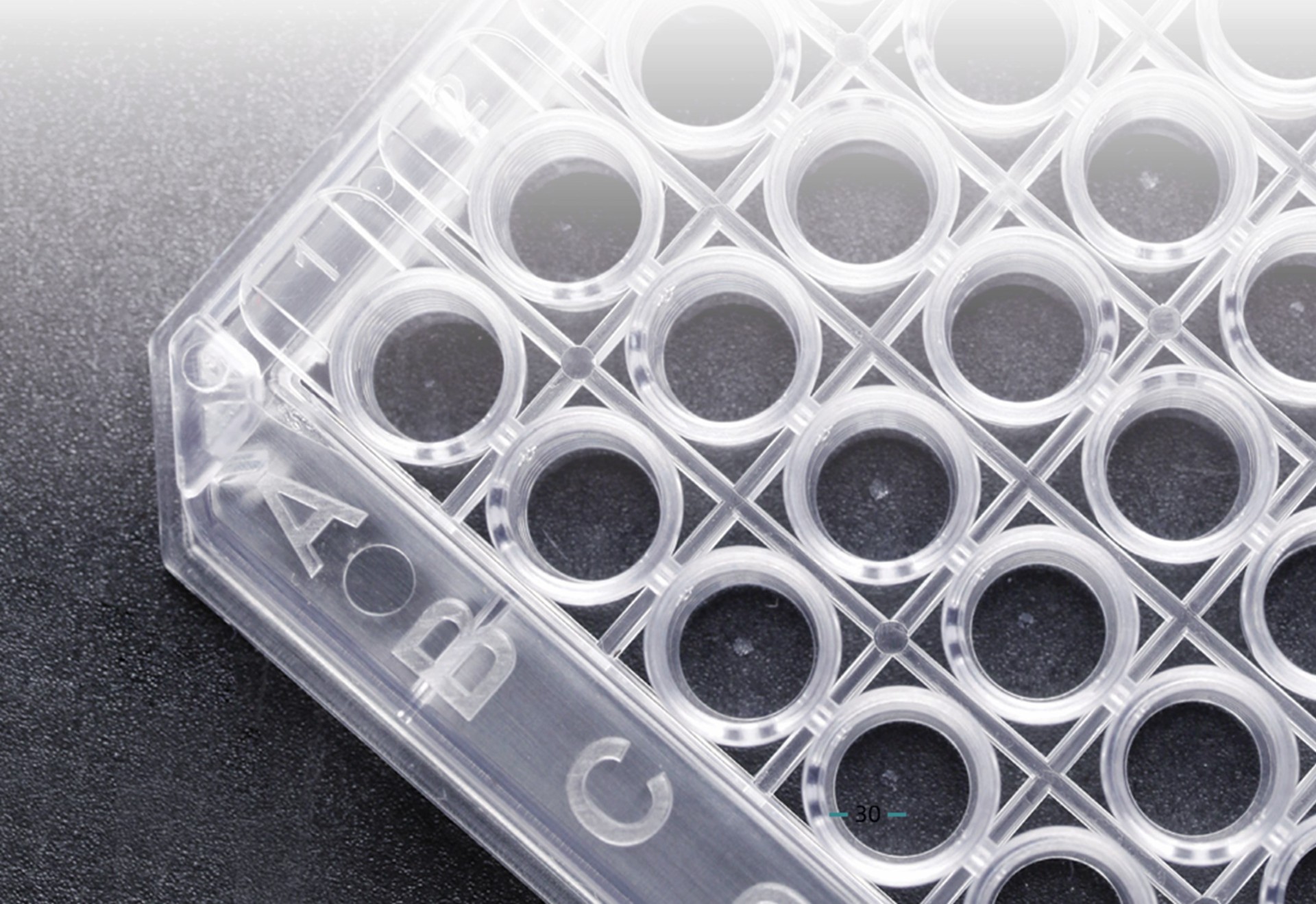 BioHub&reg; 系列酶標(biāo)板及酶標(biāo)板配件