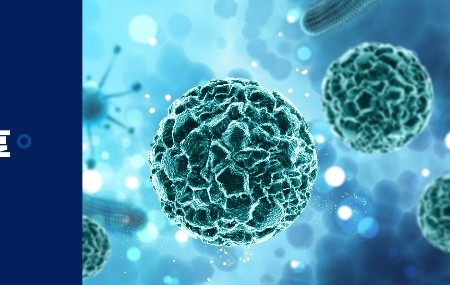 解鎖病毒載體下游純化工藝路線