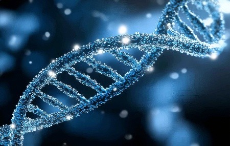 mRNA產(chǎn)業(yè)中的國產(chǎn)替代策略