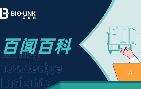 基肯孔雅病毒（CHIKV）科普：從感染機(jī)制到疫苗生產(chǎn)關(guān)鍵環(huán)節(jié)