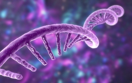 一起來&ldquo;躺平&rdquo;，百林科 2025 應用分享大盤點